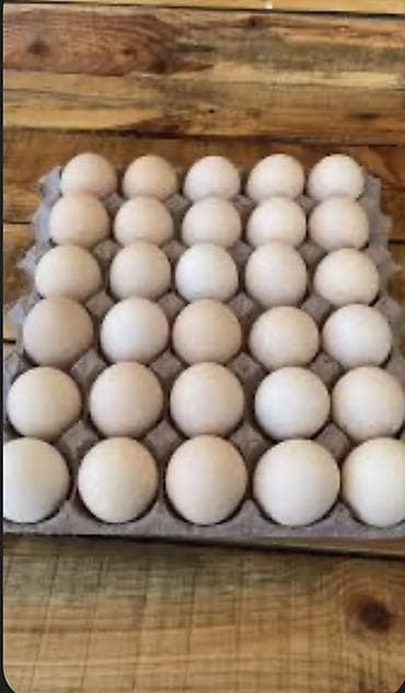 Salam satışda ev yumurtası var 30 qep. Çox Alan olsa 25 qep olacaq