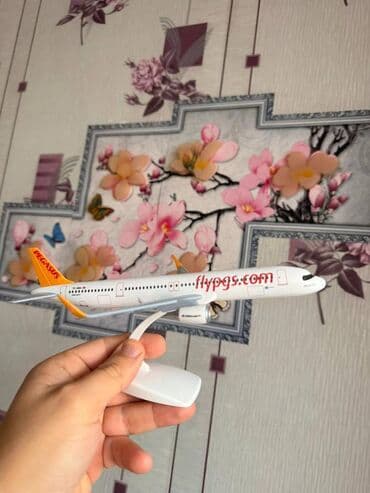 заказать модель машины: Pegasus Təyyarə Maketi — 3