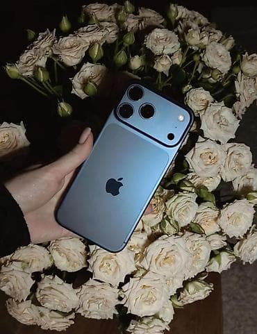 redmi 12 kabroları: Narıncı — 2