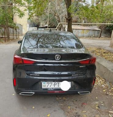 rustavi masin bazari 2022: Masin kiritide hazir tecili satilir — 2