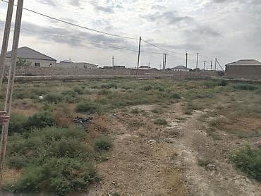savalan torpag: 6 sot, Tikinti, Kupça (Çıxarış) — 3