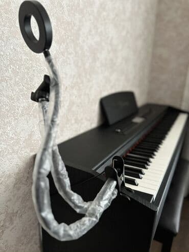 Akkordeonlar: Piano, Rəqəmsal — 4