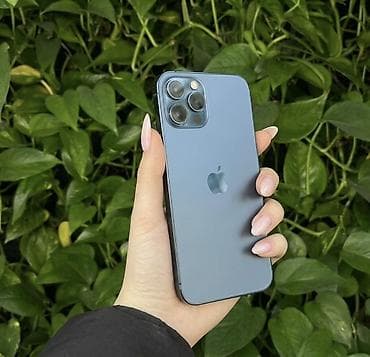 iphone 15: IPhone 12 Pro, 256 GB, Mavi, Face ID — 2