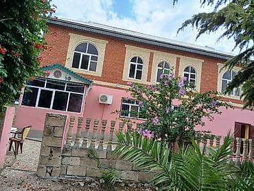 palmalar: Masallı nın kendinde özemə məxsus olan həyətimdə təsarfat üçün olan — 1