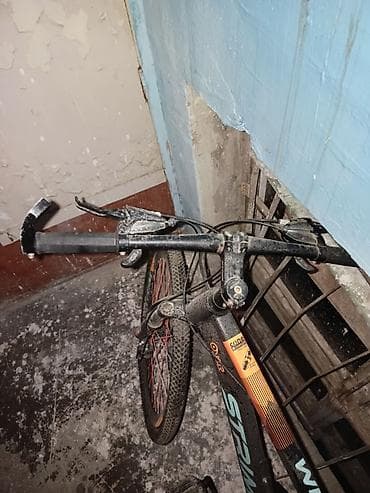 veli: Velosebet yaxşı vəziyyətdədir problemi skorusa çətin keçməyidi başqa — 2