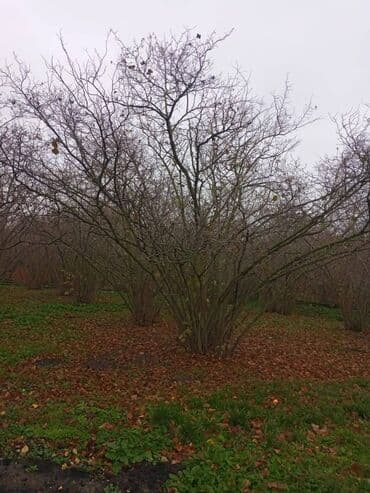 продажа и аренда домов: 4 комнаты, 110 м², Нет кредита, Без ремонта — 8