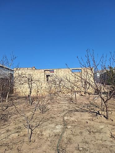 bine qesebesinde: Kənd təsərrüfatı — 10