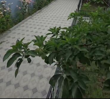 купить дом на берегу моря в баку: 4 комнаты, 120 м², Свежий ремонт — 12