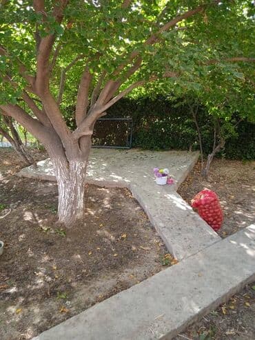 mehemmedide evler: 200 kv. m, 5 otaqlı — 22