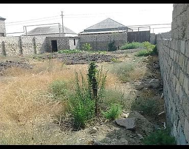 gence obyekt satisi: Tikinti — 1