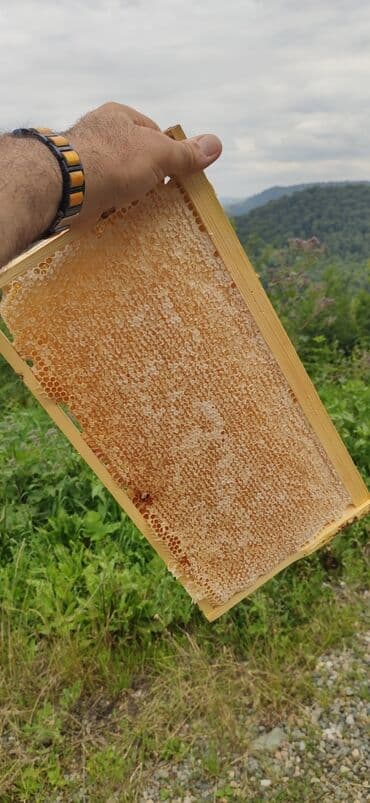 продается мед: Elf bee's 1977 eco product for health and longevity tovuzun — 8