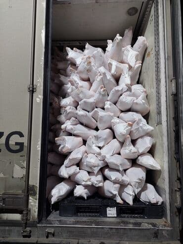 Topdan qoyun atlari monqolsdan bir basa Azarbaygana lalafo.az -da Topdan qoyun atlari monqolsdan bir basa Azarbaygana