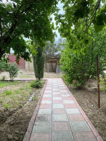 xoçəsən: 17 sot, Tikinti, Mülkiyyətçi, Bələdiyyə — 12