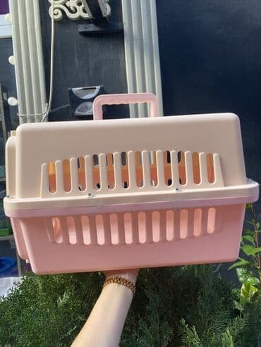 pişik əşyaları: Heyvan daşıma çantaları/konteynerləri - Material: möhkəm sərt plastik — 2