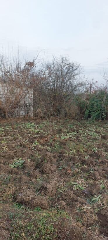 qazaxda torpaq satilir: 8 sot, Tikinti, Mülkiyyətçi, Kupça (Çıxarış) — 5