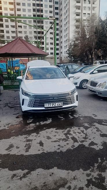 Arenda BYD Qin Plus DM-i sedan - Kuzov: ağ rəng, aerodinamik fastback