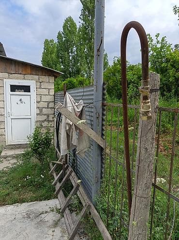basavik satisi: Kənd təsərrüfatı — 8