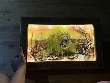 3d defter: Unikal dekorativ işıqlandırılan tablo – “Şir” mövzulu diorama - — 2