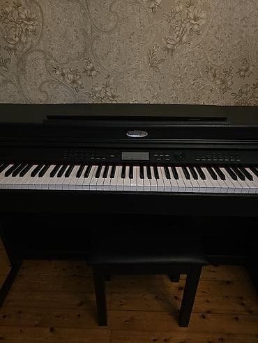 boss ph 3: Piano, Rəqəmsal — 1