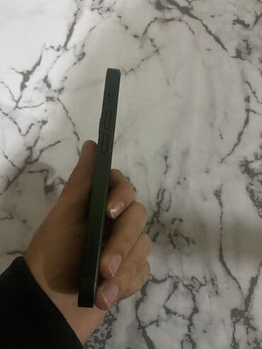 Lincoln: IPhone 13, 128 ГБ, Зеленый — 3