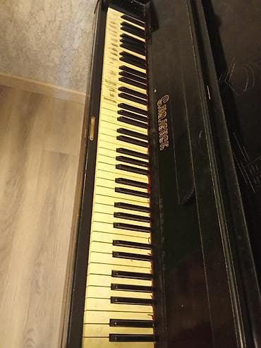 gitara akustik: Piano, Akustik — 3