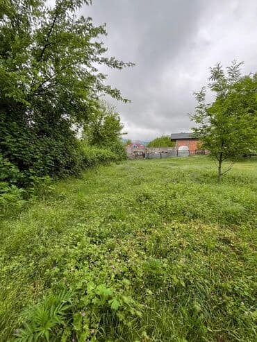 ələt torpaq: 14 sot, Biznes üçün, Mülkiyyətçi, Kupça (Çıxarış) — 12