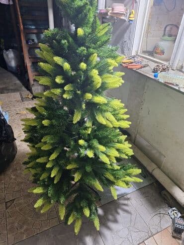 Xalçalar: Tecilii Köcle elaqedar yeni il şam ağacı satilir Cox az istifade — 1