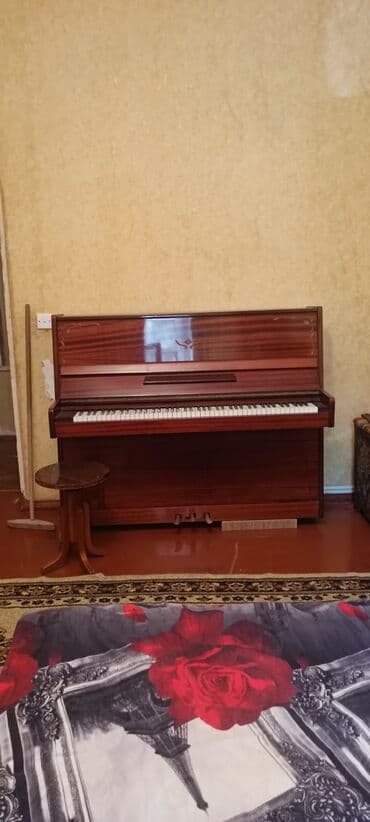 royal cat jakne: Piano, Belarus, Akustik, İşlənmiş, Ünvandan götürmə — 2