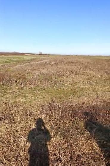 celilabad satilan evler: 138 sot, Kənd təsərrüfatı, Mülkiyyətçi — 1