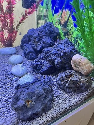 akvaryum aksesuarları: Akvaryum üçün dekorativ lava daşları şekilde gördüyünüz ki çox gözel — 5