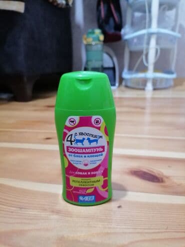 çöl pişiyi: Pişiye aid olan eşyalar. Hamsı yenıdır. Alınıb bir gün istifade — 2