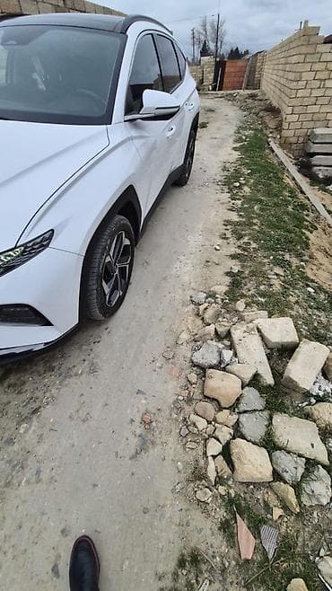 bulbulə torpaq: 2 sot, Kupça (Çıxarış) — 7