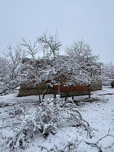 28 mayda satilan ucuz evler: 4 otaqlı yarım tikili ev,9 sot torpağın içində,ev günəşlidə — 10