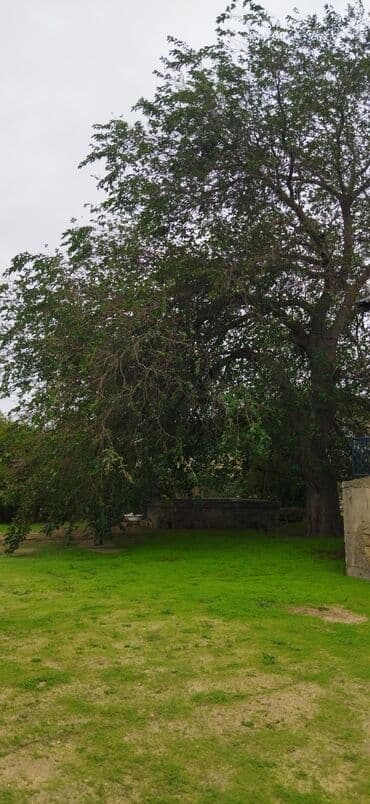 qresdə həyət evləri: Bilgəh qəs. 3 otaqlı, 70 kv. m — 6