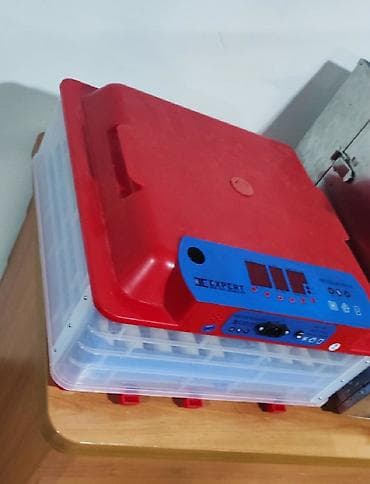 Inkubator inqibator inkibator inqubator 63 yumurtaliq zavod — 1