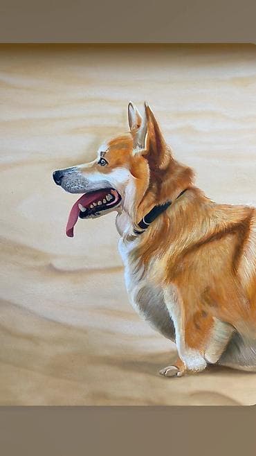 divar daşlari: Divar rəsimlərinin çəkilməsi🎨 Qiymət rəsmə və onun ölçüsünə uyğun — 2