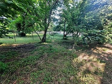 5 sot, Mülkiyyətçi, Kupça (Çıxarış)