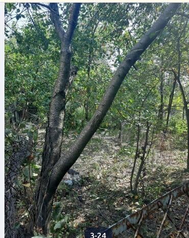 lalafo долгосрочная аренда квартир: Satılır/icarəyə təqdim olunur: geniş və işıqlı mənzil Plan: - Geniş — 29