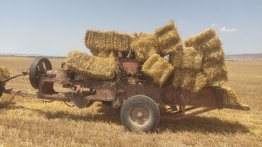 купить измельчитель сена бу: Işimlə əlaqədar olaraq satıram tam ideal vəziyyətdədir hal hazırda — 1