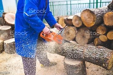 Ağac kesmek budamaq işləri görülür.🪚 Kotukleri səliqəli dogramaq qol