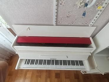petrof: Piano, Petrof, Akustik — 3