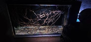 delfin baligi: 130×70×50Böyük həcmli şüşə akvarium və aksesuarlar - Təxminən — 2