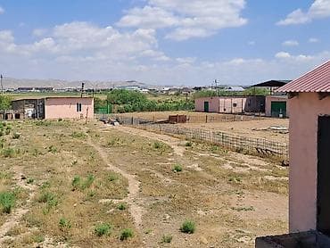 qebele: Haciqabulda ferma satılır.15 hektar.350kv.tikili.kənd tədərrüfatı — 9