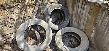 Məhsul: Avtomobil təkərləri (3 ədəd) Təsvir: - Ölçü və tip: Şinlər