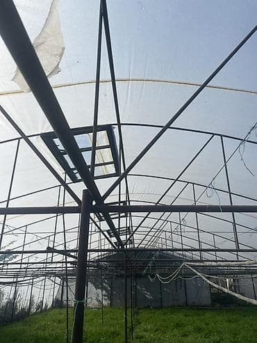 divar kagizlari dekor: İstixana konstruksiyası satılır - Metal karkaslı, genişhəcmli — 4