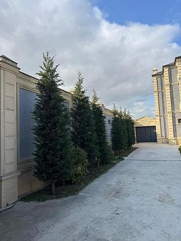 kiraye eveler: 5 otaqlı, 550 kv. m, Kredit yoxdur, Yeni təmirli — 7