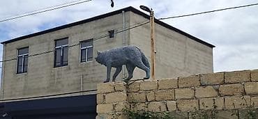 amerika azerbaycan saat ferqi: Fiqur — 4