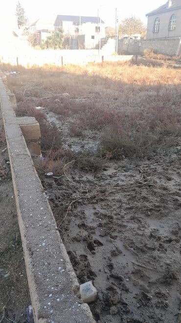 abşeron saray: 5 sot, Tikinti, Mülkiyyətçi, Bələdiyyə — 1