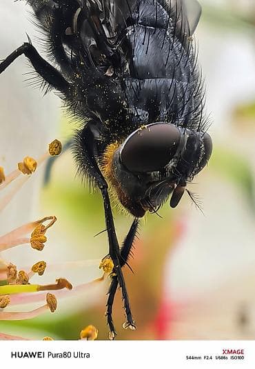 huawei p50 qiyməti: Huawei Pura 70 Ultra, 512 GB, rəng - Qızılı — 7