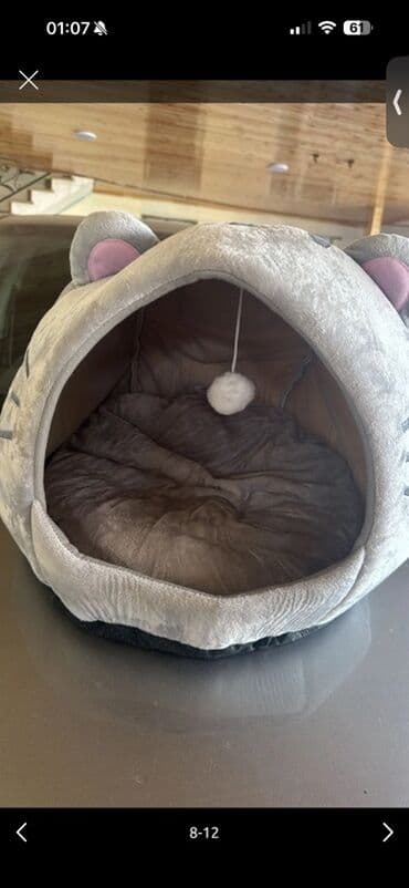 клетки для кур несушек купить в бишкеке: Pişik və kiçik itlər üçün qapalı tip yumşaq yuva - Dizayn: boz — 1